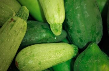 Comment_congeler_des_courgettes_:_suivez_ces_étapes